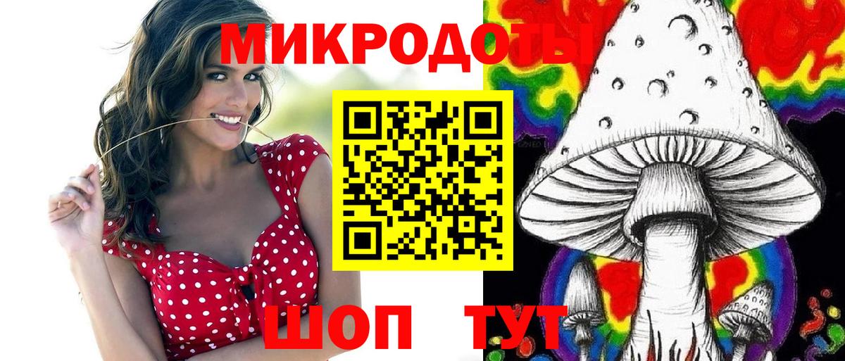 Галлюциногенные грибы Саяногорск
